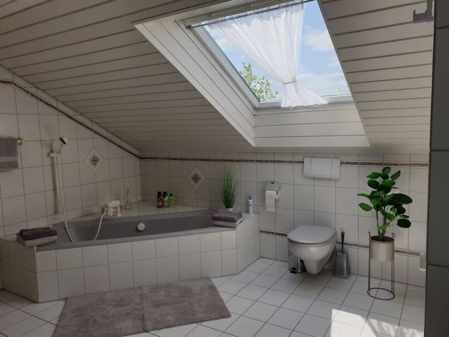Moderne Dg-wohnung In * Mainleus