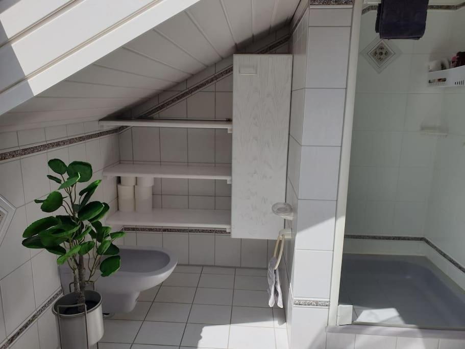 Apartment Moderne Dg-wohnung In Mainleus
